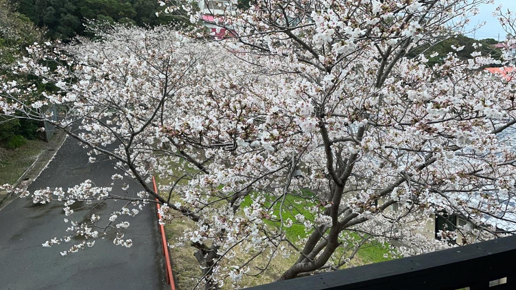 Shirahama Meiji Villa Esterno foto